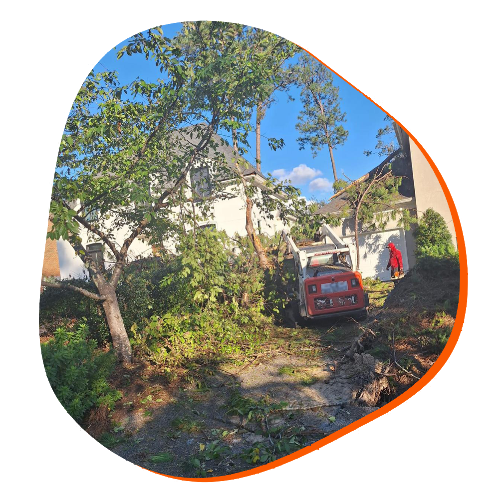 land-clearing-2