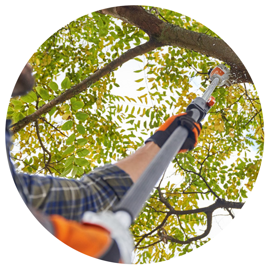 trimming